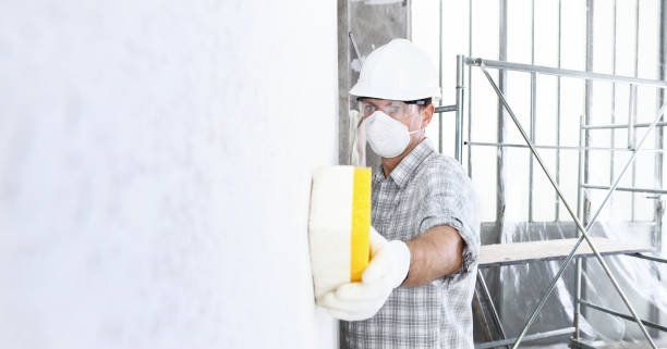 Best Industrial Mold Remediation  in Quitman, MS