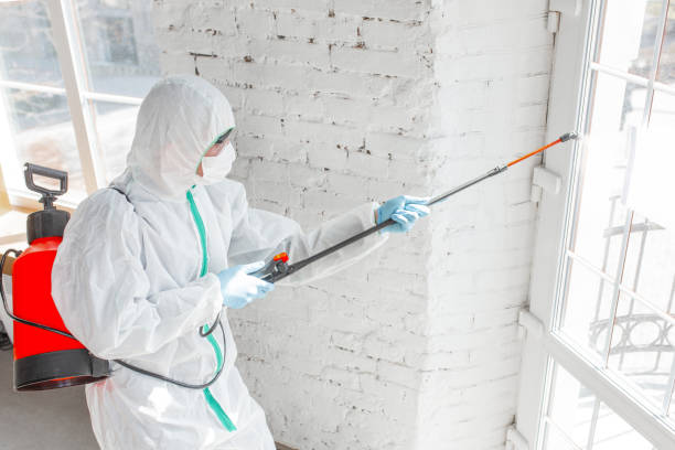 Asbestos and Lead Testing During Mold Inspection in Quitman, MS